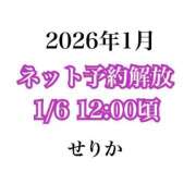 大きすぎるって悪い事？『せりか』 色々報告 ESSENCE