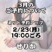 大きすぎるって悪い事？『せりか』 よろしくお願いします😌 ESSENCE