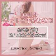 ヒメ日記 2026/09/21 07:45 投稿 大きすぎるって悪い事？『せりか』 ESSENCE