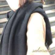 ヒメ日記 2024/12/09 10:22 投稿 桜子(さくらこ) ロケットワイフ