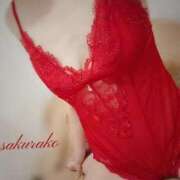 ヒメ日記 2024/12/16 08:02 投稿 桜子(さくらこ) ロケットワイフ