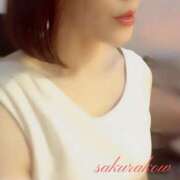 ヒメ日記 2025/02/01 17:11 投稿 桜子(さくらこ) ロケットワイフ