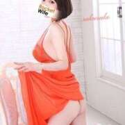 ヒメ日記 2025/02/10 06:12 投稿 桜子(さくらこ) ロケットワイフ