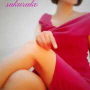 ヒメ日記 2025/03/26 08:15 投稿 桜子(さくらこ) ロケットワイフ