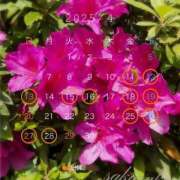 ヒメ日記 2025/04/09 08:15 投稿 桜子(さくらこ) ロケットワイフ