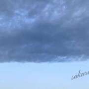 ヒメ日記 2025/05/07 08:01 投稿 桜子(さくらこ) ロケットワイフ