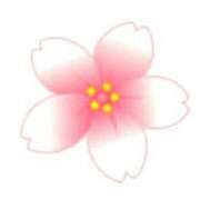 ヒメ日記 2025/06/15 10:05 投稿 桜子(さくらこ) ロケットワイフ