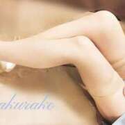 ヒメ日記 2025/06/21 08:00 投稿 桜子(さくらこ) ロケットワイフ