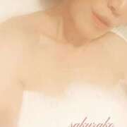 ヒメ日記 2025/06/27 11:15 投稿 桜子(さくらこ) ロケットワイフ