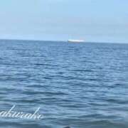 ヒメ日記 2025/07/29 00:16 投稿 桜子(さくらこ) ロケットワイフ