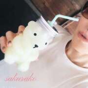 ヒメ日記 2025/08/14 11:00 投稿 桜子(さくらこ) ロケットワイフ