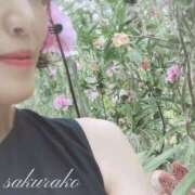 ヒメ日記 2025/09/14 08:01 投稿 桜子(さくらこ) ロケットワイフ