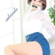 ヒメ日記 2025/10/10 12:31 投稿 桜子(さくらこ) ロケットワイフ