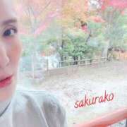 ヒメ日記 2025/11/28 14:58 投稿 桜子(さくらこ) ロケットワイフ