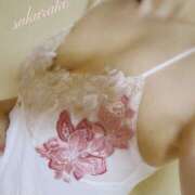 ヒメ日記 2026/03/17 11:54 投稿 桜子(さくらこ) ロケットワイフ