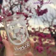 ヒメ日記 2026/03/18 12:41 投稿 桜子(さくらこ) ロケットワイフ