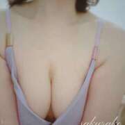 ヒメ日記 2026/04/11 11:56 投稿 桜子(さくらこ) ロケットワイフ