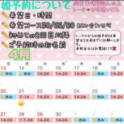 ヒメ日記 2025/04/12 17:17 投稿 さやか ハピネス東京