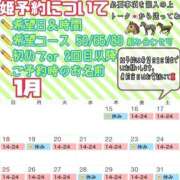 ヒメ日記 2026/01/16 11:57 投稿 さやか ハピネス東京