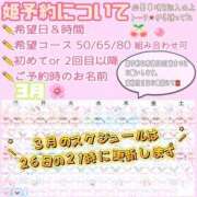 ヒメ日記 2026/02/25 23:07 投稿 さやか ハピネス東京