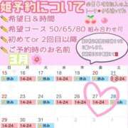 ヒメ日記 2026/03/24 17:07 投稿 さやか ハピネス東京