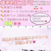 ヒメ日記 2026/04/13 11:11 投稿 さやか ハピネス東京