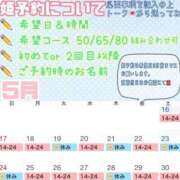 ヒメ日記 2026/05/13 22:07 投稿 さやか ハピネス東京