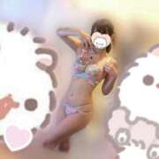 ヒメ日記 2025/06/29 19:11 投稿 あつは ていくぷらいど.学園