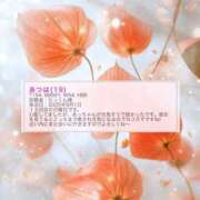 ヒメ日記 2025/09/06 06:00 投稿 あつは ていくぷらいど.学園