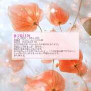 ヒメ日記 2025/09/16 21:50 投稿 あつは ていくぷらいど.学園