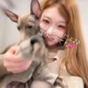 ヒメ日記 2026/03/24 22:50 投稿 あつは ていくぷらいど.学園