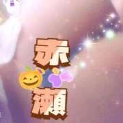 ヒメ日記 2025/10/10 16:34 投稿 赤瀬（あかせ） 熟女の風俗最終章 大宮店