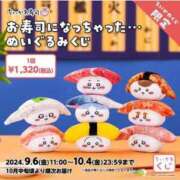 ヒメ日記 2024/09/13 02:14 投稿 めぐみ ラブライフ所沢川越