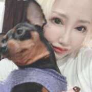 ヒメ日記 2025/04/20 01:28 投稿 飯島くうが とある風俗店♡やりすぎさーくる新宿大久保店♡で色んな無料オプションしてみました