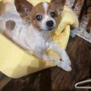 ヒメ日記 2025/06/17 20:28 投稿 飯島くうが とある風俗店♡やりすぎさーくる新宿大久保店♡で色んな無料オプションしてみました