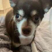 ヒメ日記 2025/06/24 21:28 投稿 飯島くうが とある風俗店♡やりすぎさーくる新宿大久保店♡で色んな無料オプションしてみました