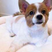 ヒメ日記 2025/07/05 09:58 投稿 飯島くうが とある風俗店♡やりすぎさーくる新宿大久保店♡で色んな無料オプションしてみました