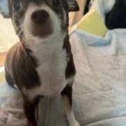 ヒメ日記 2025/07/30 07:22 投稿 飯島くうが とある風俗店♡やりすぎさーくる新宿大久保店♡で色んな無料オプションしてみました