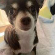 ヒメ日記 2025/08/16 09:05 投稿 飯島くうが とある風俗店♡やりすぎさーくる新宿大久保店♡で色んな無料オプションしてみました