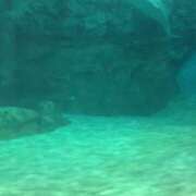 ヒメ日記 2024/12/16 18:01 投稿 ラム 人妻デリバリーパコパコママ一宮店