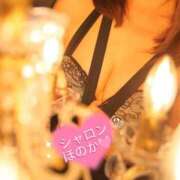 ヒメ日記 2026/04/14 10:42 投稿 ほのか シャロン横浜