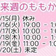 ヒメ日記 2024/07/14 16:47 投稿 ももか 名古屋ちゃんこ