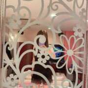 ヒメ日記 2026/01/28 13:18 投稿 れおな 奥様メモリアル