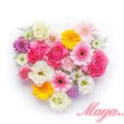 ヒメ日記 2025/02/24 11:01 投稿 祈月 真矢 CASA BIANCA（カーサ・ビアンカ）