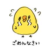 ヒメ日記 2025/11/21 22:25 投稿 あいな 蒼いうさぎ