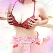 ヒメ日記 2025/12/12 09:22 投稿 みのり プラチナ