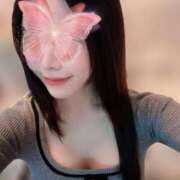 ヒメ日記 2025/02/09 17:31 投稿 みわ Number Five 品川（シンデレラグループ）