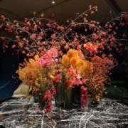 ヒメ日記 2025/09/21 23:58 投稿 みわ Number Five 品川（シンデレラグループ）