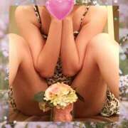 ヒメ日記 2025/11/13 16:44 投稿 りさ 神戸3040（神戸サーティフォーティ）