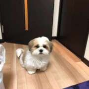 ヒメ日記 2025/03/05 05:14 投稿 荒木 熟女の風俗最終章 横浜本店